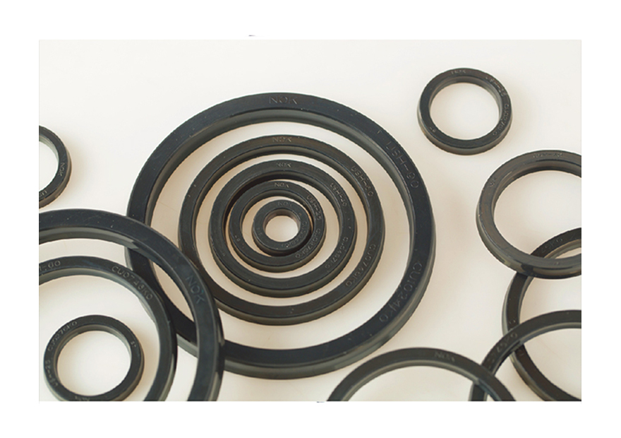 oil seal