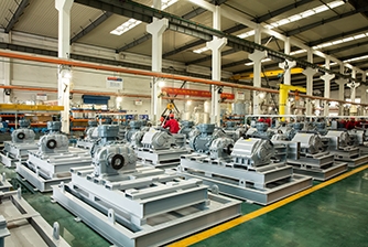 Depamu (HangZhou) Pumps Technology Co., Ltd.